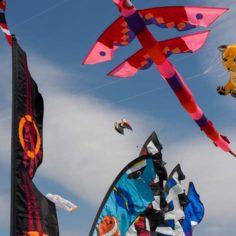 fly a kite fest