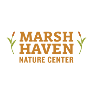 Marsh Haven