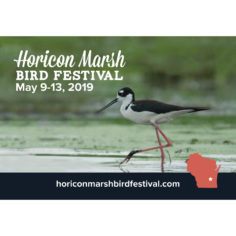 Horicon Marsh Bird Festival 2019