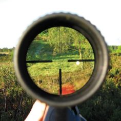 Hunting and Firearm Safety Tips